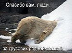Аватара пользователя