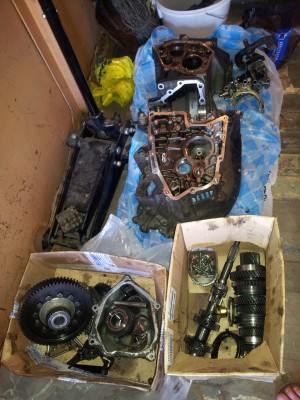 8ddac24s-960.jpg